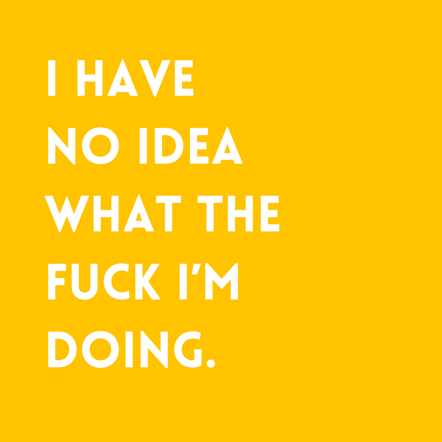 I have no idea what the fuck I'm doing Fridge Magnet