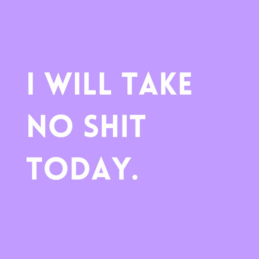 I will take no shit today Fridge Magnet