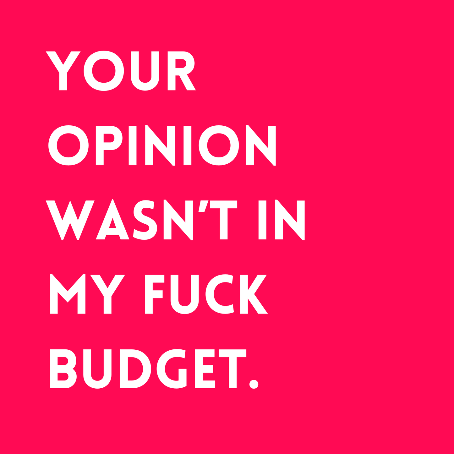 Your opinion wasn't in my fuck budget Fridge Magnet