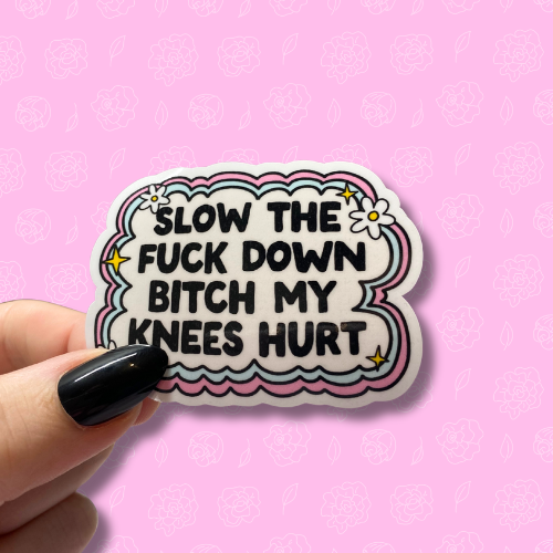 Slow the fuck down bitch my knees hurt Sticker